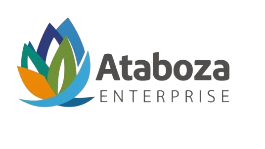 image 6 removebg preview